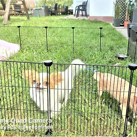 Appartments Am Appartement