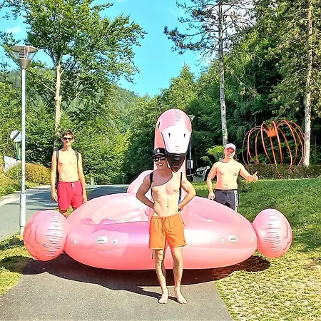 Appartement Appartments Am